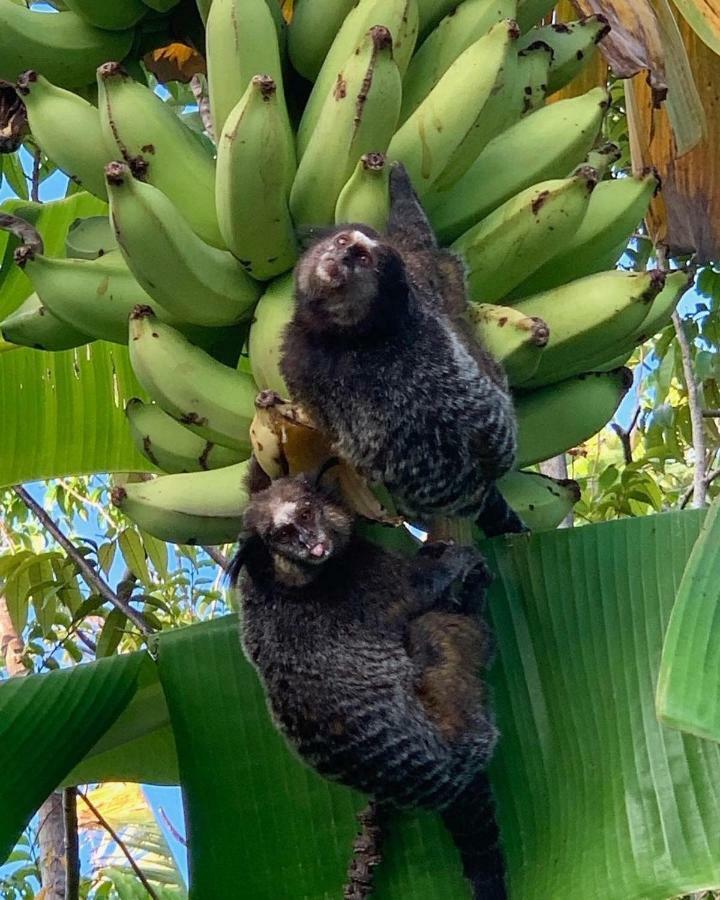 Pousada Sitio Da Bia Marau  Luaran gambar